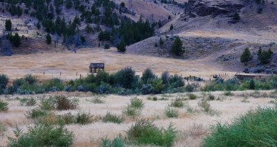 Old Shed in Painted Hills