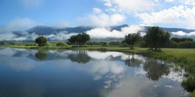 meadowcreek pond.jpg