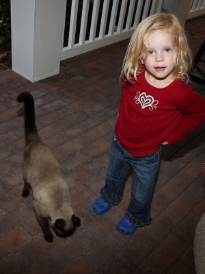 IMG_0469a.jpg