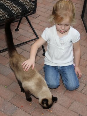 IMG_1411a_resize.jpg