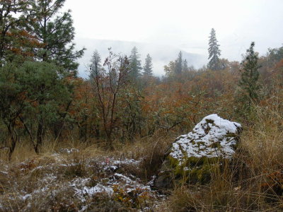 DSCN0482.JPG