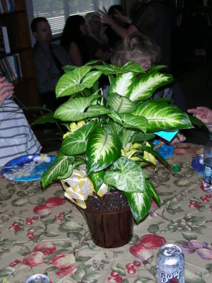 DSCN0635.JPG