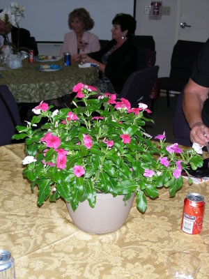 DSCN0636.JPG