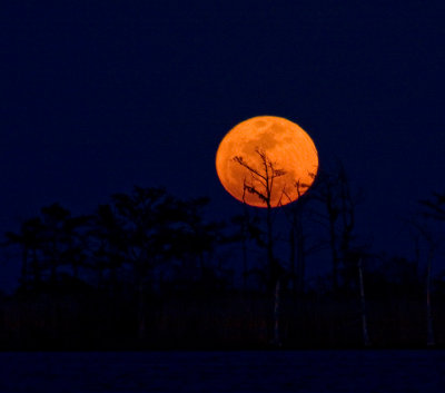 The rarely seen super moon in a rapid rise