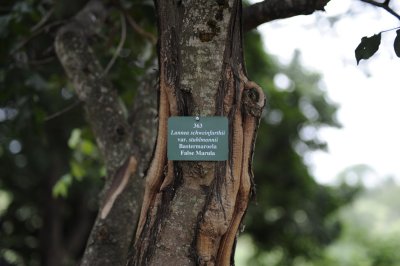 kruger0130.jpg