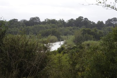 Sweni River south of Satara