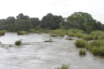 Sweni River south of Satara