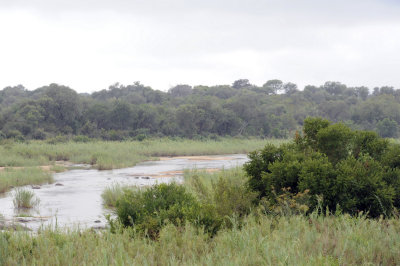 Sweni River south of Satara