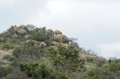 kruger0086.jpg