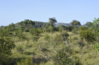 0085krugersa6B.jpg