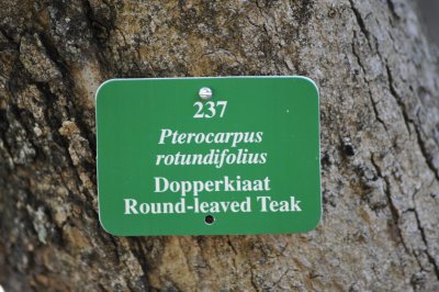 Great timber, but protected here