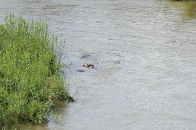 0112krugersa6B.jpg