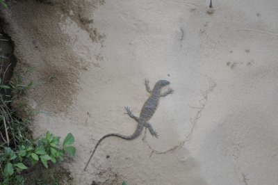 0118krugersa6B.jpg