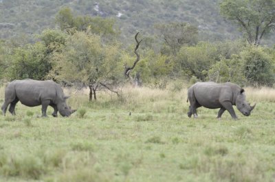 0053krugersa6B.jpg