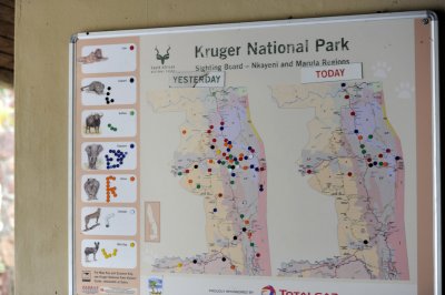 The daily area sighting map