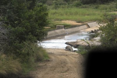 0025krugersa5.jpg