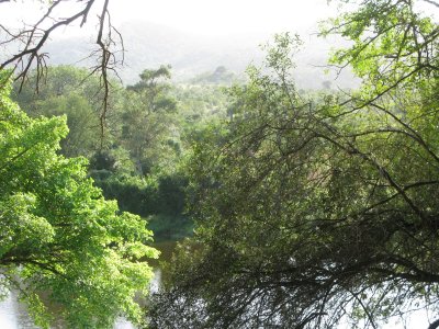 0030krugerscanon4.jpg