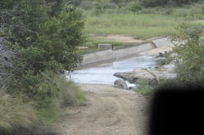 Flooded rivercrossing