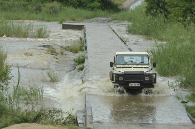0014krugersa5.jpg