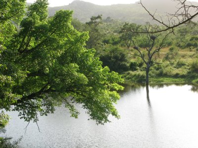 0018krugerscanon4.jpg