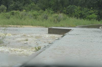 0021krugersa6B.jpg