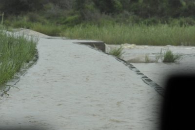 0022krugersa6B.jpg