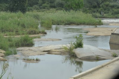 0023krugersa6B.jpg