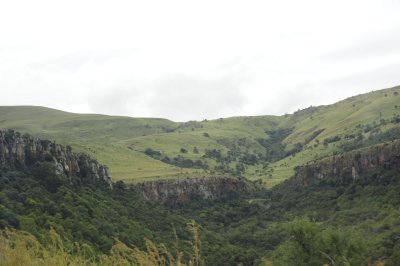 0003krugersa6B.jpg