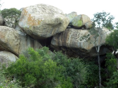 0008krugerscanon3.jpg