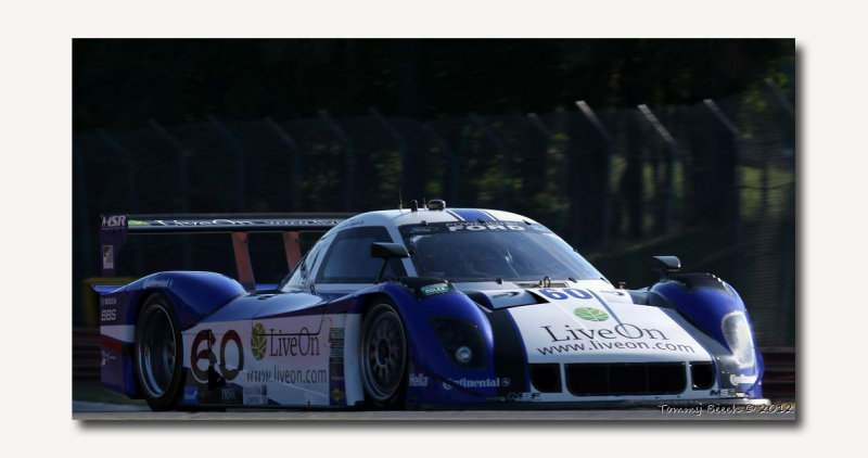  Ford / Riley  ~  Michael Shank Racing