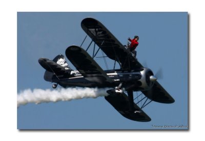 Amanda Franklin  ~  'Scandalous Scarlett'  of Franklin's Flying Circus