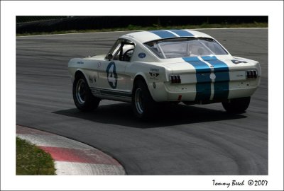 GT 350  Shelby Mustang