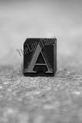 A-9_9436_pb.jpg