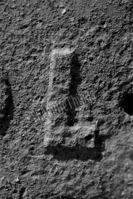 L-3_8989_pb.jpg