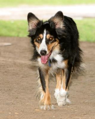 IMG_1959 copy.jpg