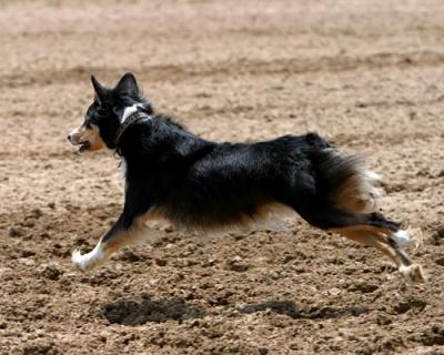 IMG_2020 copy.jpg