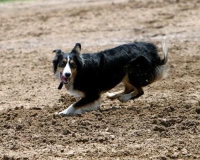 IMG_2021 copy.jpg