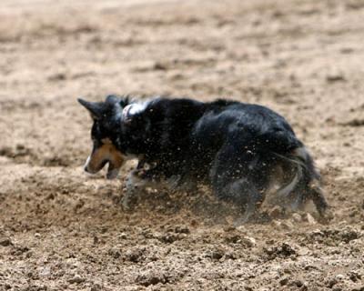 IMG_2023 copy.jpg