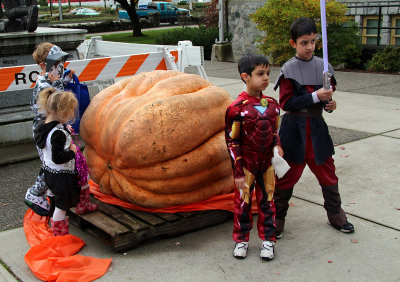 3182 - Wow , lookit that huge pumpkin