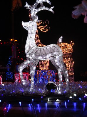 IMG_3998 copy.jpg