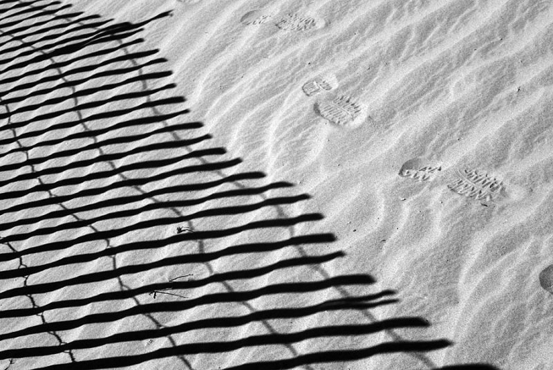 At Eureka Dunes