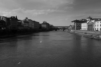 Florence - Italy - Memory Cards in B&W