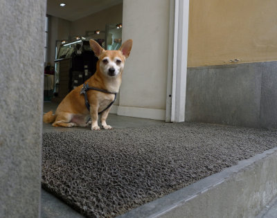 Guarding the Store