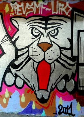 Italian Graffiti - Tiger