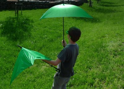 Green umbrellas