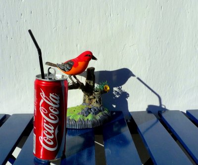 Even the birds drink Coca-Cola