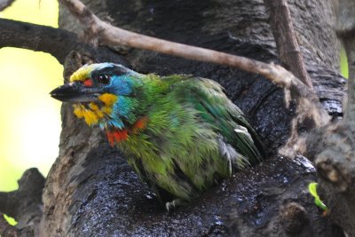 Apr 18  Bath time!! 
