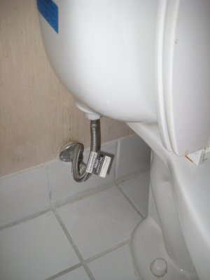 KOTW2011 018.jpg