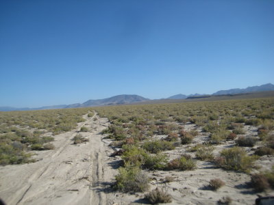 KOTW2011 026.jpg