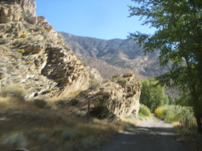 KOTW2011 029.jpg